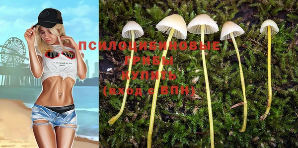 соль курить ск Армянск